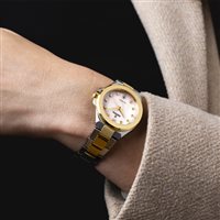 Orologio Festina Donna Mademoiselle in Acciaio F20702/1 - F20702/1